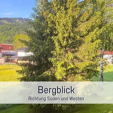 - Bei Birgit Mariacher - Inklusive Sommerbergbahnen - Infrarotsauna & Broetchenservice - Zentral Mit Bergblick * Tannheim