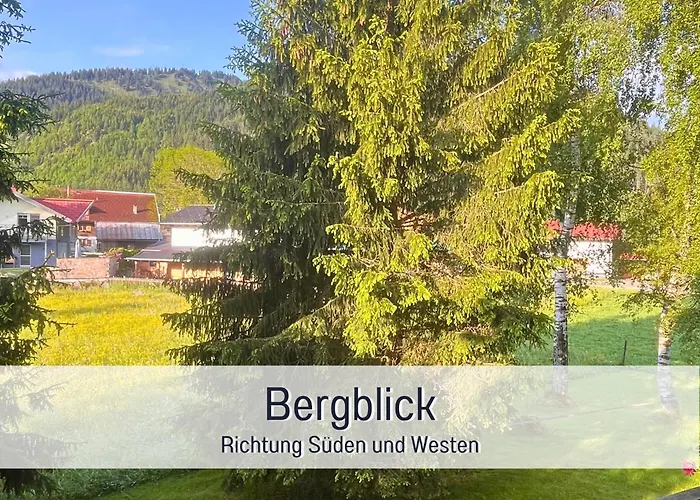 Ruhige Zentrale Mit Privater Infrarotsauna & Bergblick In * 坦海姆